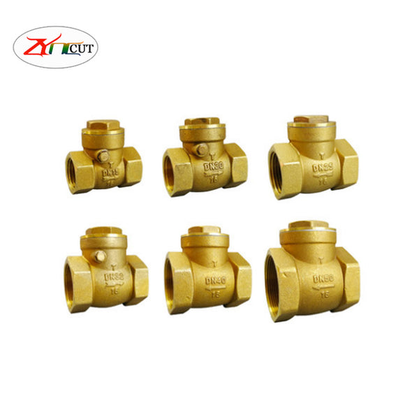 DN15 20 25 32 40 50 Pipeline valve with brass double inner wire horizontal anti backflow water stop check valve and check valve